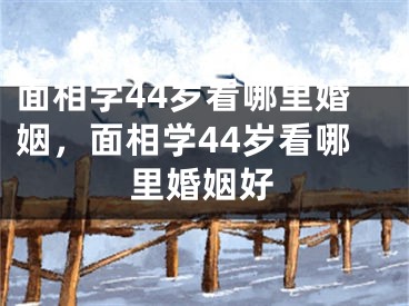面相学44岁看哪里婚姻,面相学44岁看哪里婚姻好