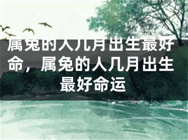 属兔的人几月出生最好命,属兔的人几月出生最好命运