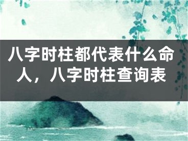 八字时柱都代表什么命人，八字时柱查询表