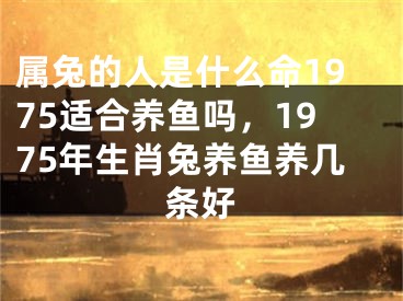属兔的人是什么命1975适合养鱼吗，1975年生肖兔养鱼养几条好