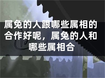 属兔的人跟哪些属相的合作好呢,属兔的人和哪些属相合