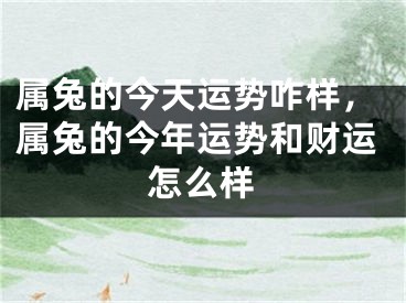 属兔的今天运势咋样,属兔的今年运势和财运怎么样