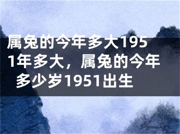 属兔的今年多大1951年多大,属兔的今年多少岁1951出生