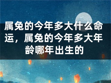 属兔的今年多大什么命运,属兔的今年多大年龄哪年出生的