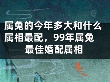 属兔的今年多大和什么属相最配，99年属兔最佳婚配属相