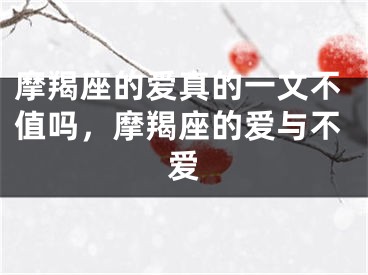 摩羯座的爱真的一文不值吗,摩羯座的爱与不爱