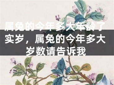 属兔的今年多大年龄了实岁,属兔的今年多大岁数请告诉我