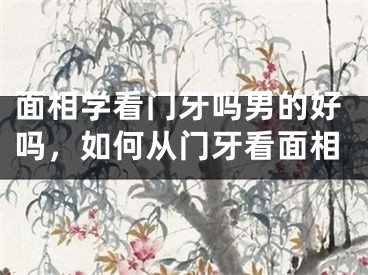 面相学看门牙吗男的好吗,如何从门牙看面相