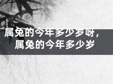 属兔的今年多少岁呀,属兔的今年多少岁