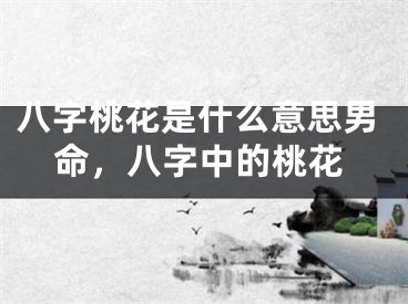 八字桃花是什么意思男命,八字中的桃花