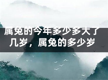 属兔的今年多少多大了几岁,属兔的多少岁