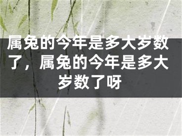 属兔的今年是多大岁数了,属兔的今年是多大岁数了呀