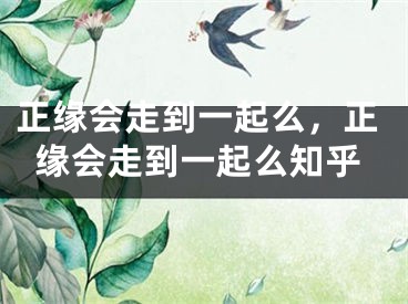 正缘会走到一起么,正缘会走到一起么知乎