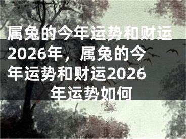 属兔的今年运势和财运2026年,属兔的今年运势和财运2026年运势如何