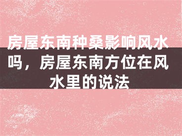 房屋东南种桑影响风水吗，房屋东南方位在风水里的说法