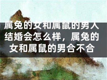 属兔的女和属鼠的男人结婚会怎么样,属兔的女和属鼠的男合不合