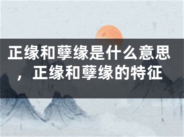 正缘和孽缘是什么意思,正缘和孽缘的特征