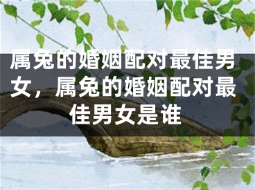 属兔的婚姻配对最佳男女,属兔的婚姻配对最佳男女是谁