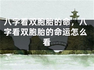 八字看双胞胎的命,八字看双胞胎的命运怎么看