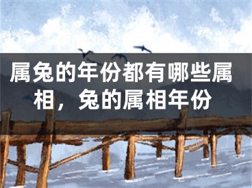 属兔的年份都有哪些属相,兔的属相年份