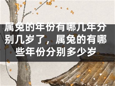 属兔的年份有哪几年分别几岁了，属兔的有哪些年份分别多少岁