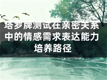 塔罗牌测试在亲密关系中的情感需求表达能力培养路径
