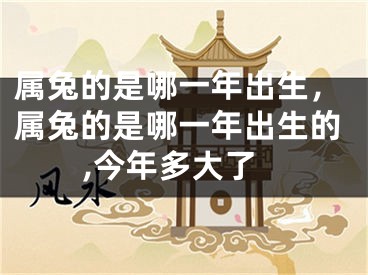 属兔的是哪一年出生，属兔的是哪一年出生的,今年多大了