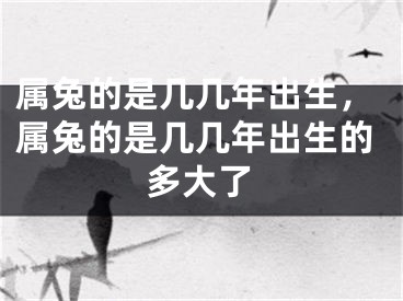 属兔的是几几年出生，属兔的是几几年出生的多大了