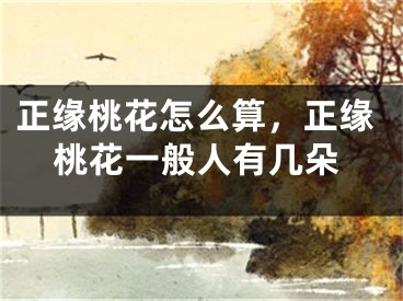 正缘桃花怎么算,正缘桃花一般人有几朵