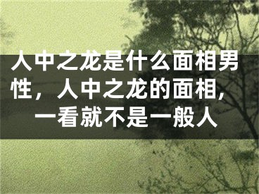 人中之龙是什么面相男性,人中之龙的面相,一看就不是一般人