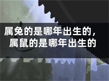 属兔的是哪年出生的，属鼠的是哪年出生的
