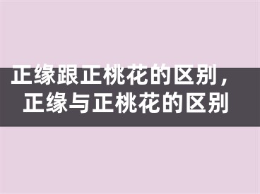 正缘跟正桃花的区别,正缘与正桃花的区别
