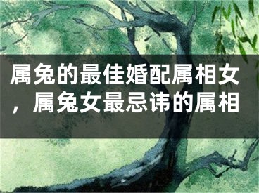 属兔的最佳婚配属相女,属兔女最忌讳的属相