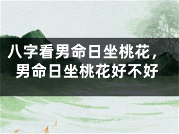 八字看男命日坐桃花,男命日坐桃花好不好