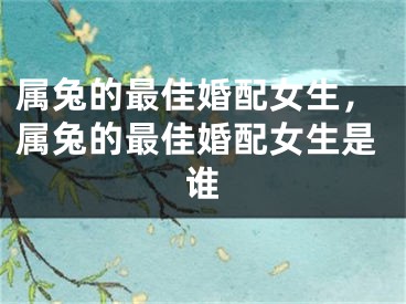 属兔的最佳婚配女生,属兔的最佳婚配女生是谁