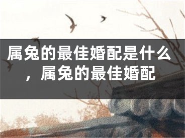 属兔的最佳婚配是什么,属兔的最佳婚配