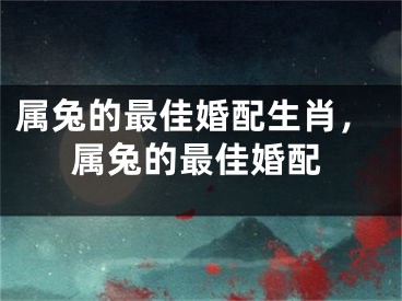 属兔的最佳婚配生肖,属兔的最佳婚配
