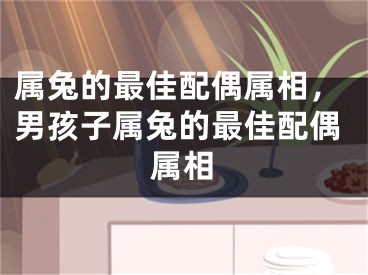 属兔的最佳配偶属相，男孩子属兔的最佳配偶属相