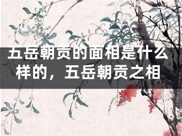 五岳朝贡的面相是什么样的,五岳朝贡之相