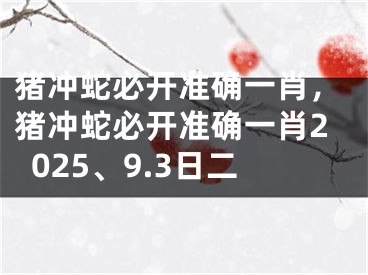 猪冲蛇必开准确一肖,猪冲蛇必开准确一肖2025、9.3日二