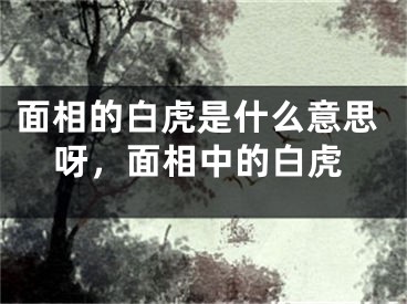 面相的白虎是什么意思呀,面相中的白虎