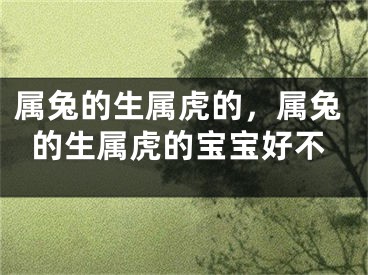 属兔的生属虎的，属兔的生属虎的宝宝好不