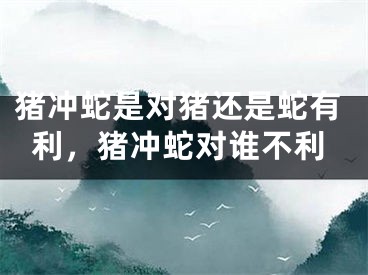猪冲蛇是对猪还是蛇有利，猪冲蛇对谁不利