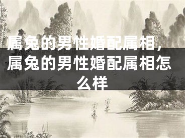属兔的男性婚配属相,属兔的男性婚配属相怎么样