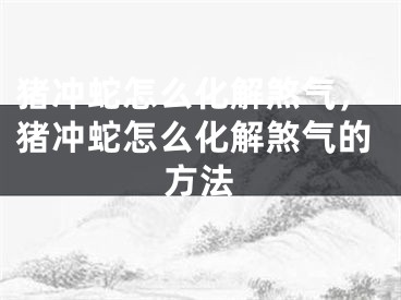 猪冲蛇怎么化解煞气,猪冲蛇怎么化解煞气的方法
