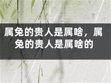 属兔的贵人是属啥,属兔的贵人是属啥的