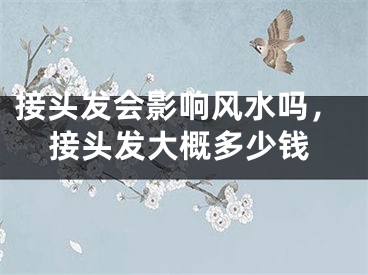 接头发会影响风水吗,接头发大概多少钱