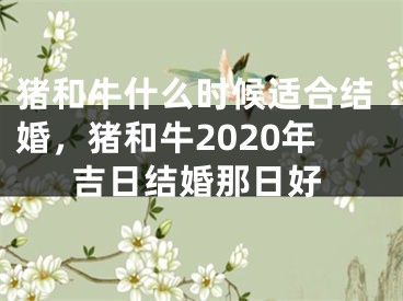 猪和牛什么时候适合结婚,猪和牛2020年吉日结婚那日好