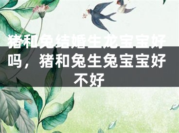 猪和兔结婚生龙宝宝好吗，猪和兔生兔宝宝好不好