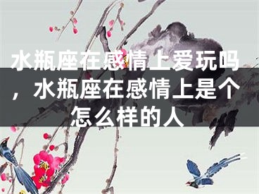 水瓶座在感情上爱玩吗,水瓶座在感情上是个怎么样的人